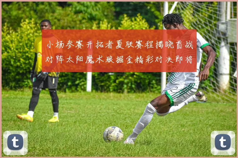 小杨参赛开拓者夏联赛程揭晓首战对阵太阳魔术狼掘金精彩对决即将开启