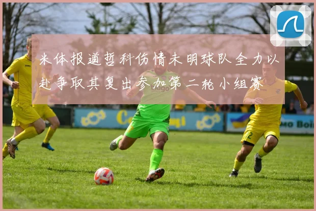米体报道哲科伤情未明球队全力以赴争取其复出参加第二轮小组赛